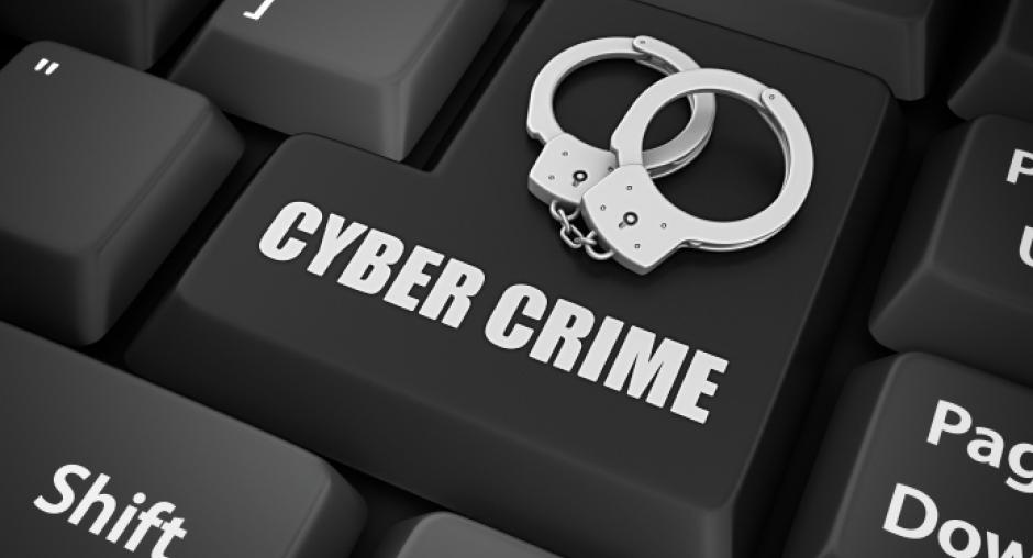 Combating Cybercrime: Partnerships and Strategies for a Safer Digital Environment 